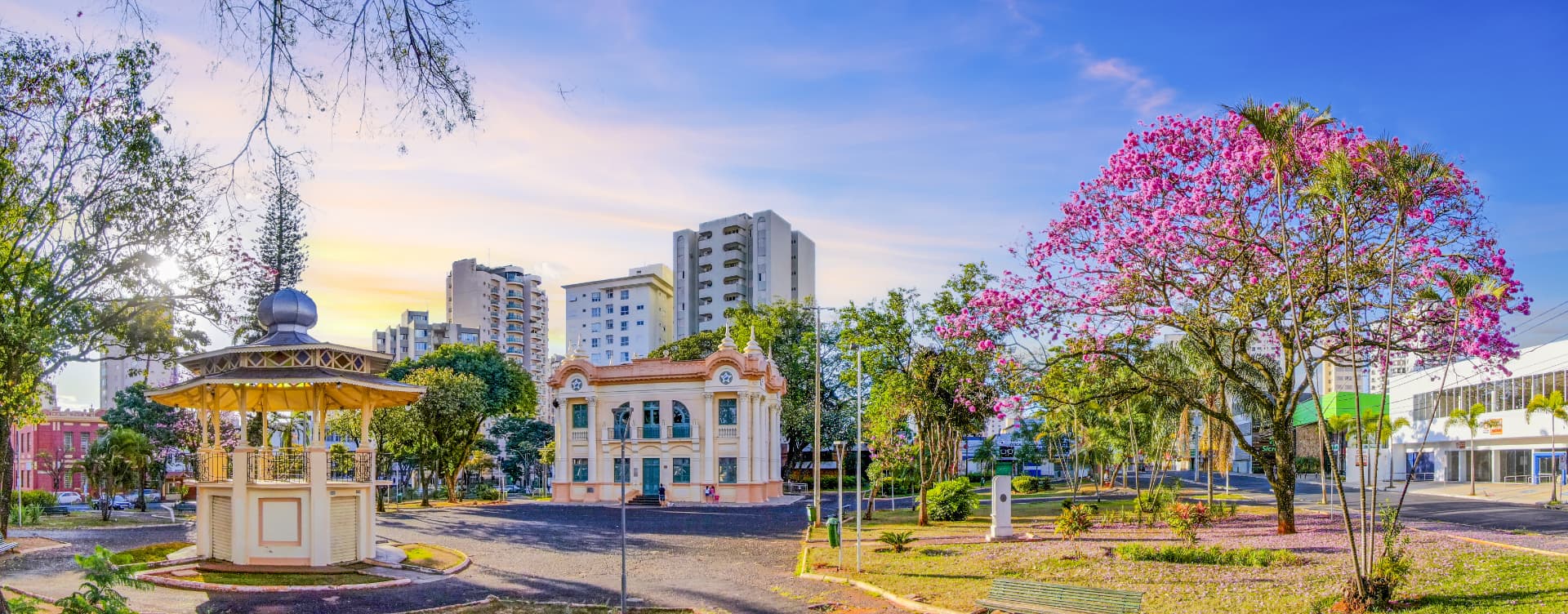 Coreto da Praça Tubal Vilela e Museu Municipal de Uberlândia ao amanhecer, com ipês rosa floridos